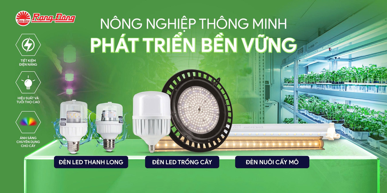 banner-den-led-rang-dong-3