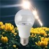 den-led-hoa-cuc-led-hc-a60/9w - ảnh nhỏ  1