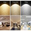 den-led-panel-36w-rang-dong-p08-600x600/36w-plus - ảnh nhỏ 5