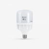 bong-den-led-bulb-tru-30w-rang-dong-tr100n1/30w-h - ảnh nhỏ  1