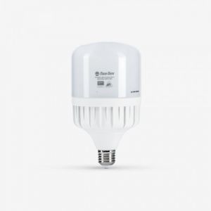 Bóng đèn LED BULB Trụ 30W Rạng Đông TR100N1/30W.H