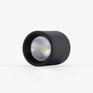 Đèn Downlight nổi trần trang trí Rạng đông NT01 110-10W