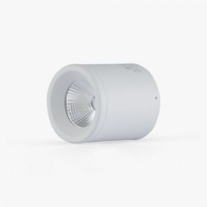 Đèn Downlight nổi trần trang trí Rạng đông NT01 90-10W