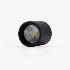Đèn Downlight nổi trần trang trí Rạng đông NT01 110-12W