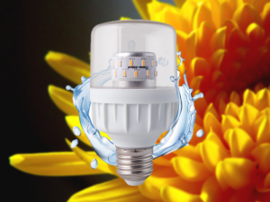 Bóng đèn LED chuyên dụng cho hoa cúc miền bắc TR60.HC-9W