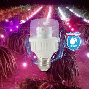 Đèn LED chong thanh long 5W Rạng Đông T60.TL/XW