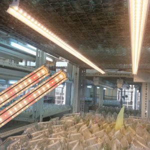 Đèn nuôi cấy mô Rạng Đông LED NCM 120/16W WR