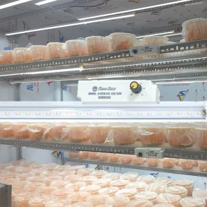 Đèn nuôi đông trùng hạ thảo Rạng Đông NCM02.DIM 1200/16W