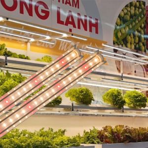 Đèn trồng rau Rạng Đông LED TRR 25W 120/WR