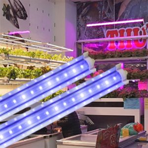 Đèn trồng rau Rạng Đông TRR 120/25W-100% BLUE