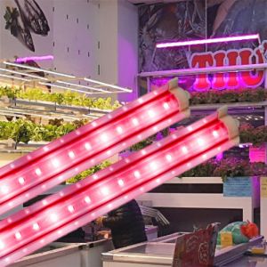 Đèn trồng rau Rạng Đông TRR 120/25W-100% RED