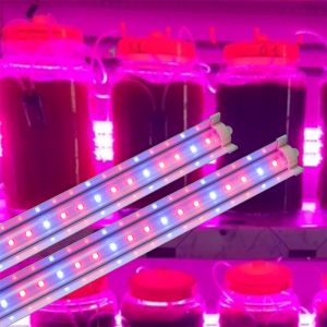 Đèn nuôi tảo Rạng Đông LED T25W 120/BR