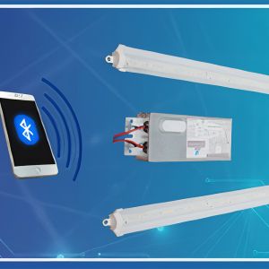 Đèn LED Nông nghiệp đa năng Rạng Đông ĐN 120/2x25W WBR 220V